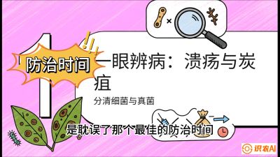 第三节：细菌与真菌&mdash;&mdash;溃疡病与炭疽病，课程：《柑橘十大病虫害：从入门到精通》