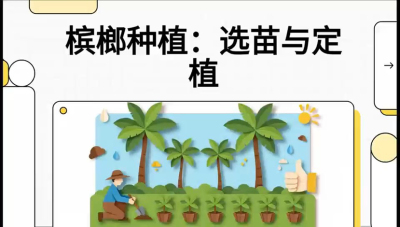 第01节：选苗与定植&mdash;&mdash;&ldquo;苗好一半收，底肥定千秋&rdquo;课程：《槟榔种植：从不懂到精通的10堂必修课》