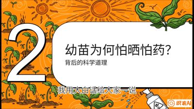 第02节：幼树管理&mdash;&mdash;&ldquo;防晒又防草，树势起得早&rdquo;，课程：《槟榔种植：从不懂到精通的10堂必修课》