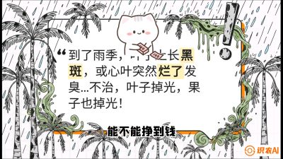 第05节：常见真菌病害&mdash;&mdash;&ldquo;炭疽与烂心，早防值千金&rdquo;《槟榔种植：从不懂到精通的10堂必修课》