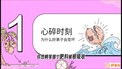 第08节：微量元素与保果&mdash;&mdash;&ldquo;补硼又补钙，果子不裂坏&rdquo;《槟榔种植：从不懂到精通的10堂必修课》