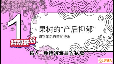 第2节：【冬肥策略】采后&ldquo;月子肥&rdquo;：大小年的精准干预术，课程：《柑橘底肥&ldquo;翻身账&rdquo;：从改土到高产的实战全书》
