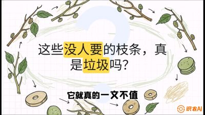 第12节：变废为宝&mdash;&mdash;循环农业实操，课程：《桑海淘金：桑树高产与蚕桑安全进阶实战课》