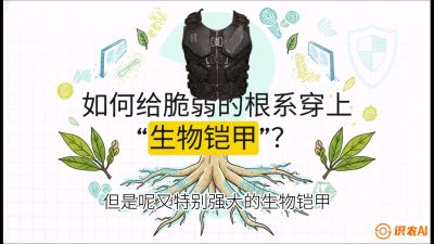第三节：国产榴莲突围战：根系堡垒，菌根微生态构建与黄金定植窗口，课程：《国产榴莲突围战：从泰国经验到中国实操的8堂必修课（高阶实战版）》