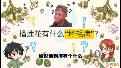 第六节：榴莲的午夜战事，夜间授粉战与花果期避雨策略，课程：《国产榴莲突围战：从泰国经验到中国实操的8堂必修课（高阶实战版）》