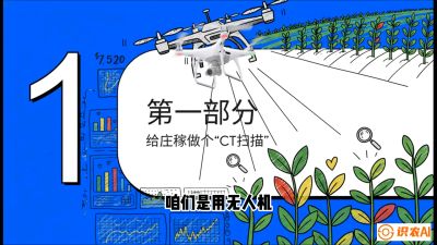 第5节：无人机也能&ldquo;看病抓药&rdquo;&mdash;&mdash;处方图与变量施肥入门，课程：《无人机植保搞钱必修课：从&ldquo;瞎飞&rdquo;到&ldquo;懂行&rdquo;的6步进阶》