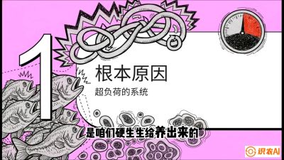 第三节：【爆款单品&middot;加州鲈】从&ldquo;玻璃鱼&rdquo;到&ldquo;摇钱树&rdquo;的通关秘籍，课程：《黄金鳞甲：2025中国淡水鱼高效养殖实战营》