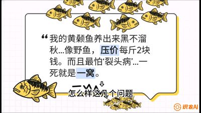 第四节：【黄金单品&middot;黄颡鱼】解决&ldquo;一点红&rdquo;与&ldquo;香蕉色&rdquo;的悖论，课程：《黄金鳞甲：2025中国淡水鱼高效养殖实战营》