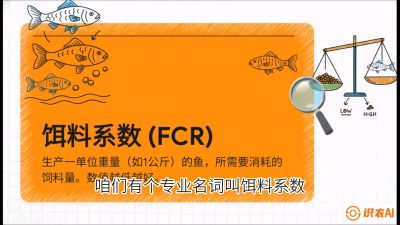 第五节：【高端单品&middot;鳜鱼】&ldquo;饲料鳜&rdquo;技术：打破吃活饵的高成本魔咒，课程：《黄金鳞甲：2025中国淡水鱼高效养殖实战营》
