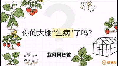 第2节（解毒篇）： 大棚里的&ldquo;红白绿&rdquo;警报&mdash;&mdash;读懂土壤盐渍化的求救信号，课程：《揭秘土壤的秘密：让土地帮你赚钱》#识农AI