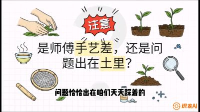 第02节（土肥篇）：告别&ldquo;苦涩水味&rdquo;：揭秘&ldquo;碳氮比&rdquo;调控术，种出自带兰花香的好茶底，课程：《茶金时代：从&ldquo;看天吃饭&rdquo;到&ldquo;精准控局&rdquo;的茶叶高产提质实战课》