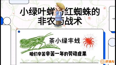 第03节（虫害篇）：看不见的吸血鬼：小绿叶蝉与红蜘蛛的&ldquo;非农药&rdquo;团灭战术（抗性治理），课程：《茶金时代：从&ldquo;看天吃饭&rdquo;到&ldquo;精准控局&rdquo;的茶叶高产提质实战课》