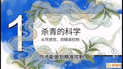 第05节（加工篇）：决胜2分钟：用&ldquo;数字温控&rdquo;破解杀青不匀，复刻大师级手工口感，课程：《茶金时代：从&ldquo;看天吃饭&rdquo;到&ldquo;精准控局&rdquo;的茶叶高产提质实战课》