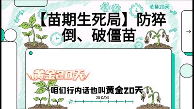 第2节：【苗期生死局】防猝倒、破僵苗，决定后期产量的&ldquo;黄金20天&rdquo;，课程：《辣椒种植实战特训营，从工业辣椒到精品小米辣，教你如何把&ldquo;草&rdquo;种成&ldquo;金&rdquo;》
