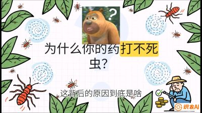 第4节：【虫害歼灭战】打不死的蓟马、隐形的茶黄螨：抗性时代的&ldquo;混配绝杀&rdquo;，课程：《辣椒种植实战特训营，从工业辣椒到精品小米辣，教你如何把&ldquo;草&rdquo;种成&ldquo;金&rdquo;》