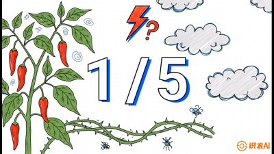 第6节：【花果爆发术】落花落果的五大元凶，与&ldquo;三喷一保&rdquo;坐果黑科技，课程：《辣椒种植实战特训营，从工业辣椒到精品小米辣，教你如何把&ldquo;草&rdquo;种成&ldquo;金&rdquo;》