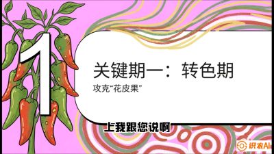 第8节：【小米辣线椒专场】颜值即正义！防花皮、防炭疽，打造收购商抢着要的&ldquo;精品果&rdquo;，课程：《辣椒种植实战特训营，从工业辣椒到精品小米辣，教你如何把&ldquo;草&rdquo;种成&ldquo;金&rdquo;》