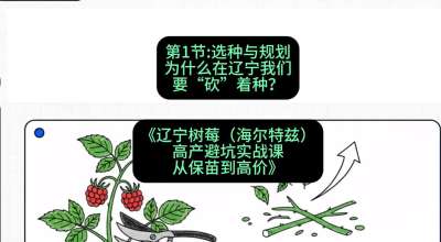 第一节： 选种与规划&mdash;&mdash;为什么在辽宁我们要&ldquo;砍&rdquo;着种？，课程：《辽宁树莓（海尔特兹）高产避坑实战课：从保苗到高价》