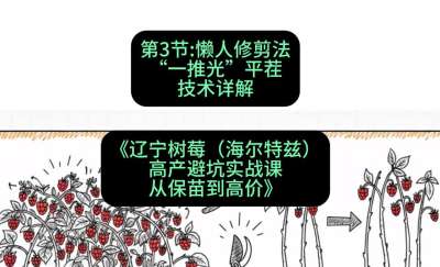 第三节： 懒人修剪法&mdash;&mdash;&ldquo;一推光&rdquo;平茬技术详解，课程：《辽宁树莓（海尔特兹）高产避坑实战课：从保苗到高价》