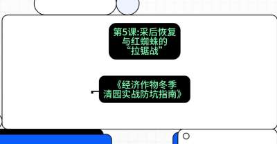 第5节：【柑橘清园】采后恢复与红蜘蛛的&ldquo;拉锯战&rdquo;，课程：《经济作物冬季清园&middot;实战防坑指南》#识农AI