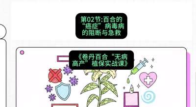 第02节：百合的&ldquo;癌症&rdquo;&mdash;&mdash;病毒病的阻断与急救，课程：《卷丹百合&ldquo;无病高产&rdquo;植保实战课》#识农AI