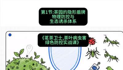 第01节：茶园的&ldquo;隐形盾牌&rdquo;&mdash;&mdash;物理防控与生态诱杀体系，课程：《茗茶卫士&mdash;&mdash;茶叶病虫害绿色防控实战课》#识农AI