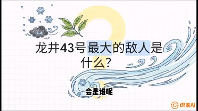 第04节：龙井双璧&mdash;&mdash;龙井43与群体种的差异化护养（重点），课程：《茗茶卫士&mdash;&mdash;茶叶病虫害绿色防控实战课》#识农AI
