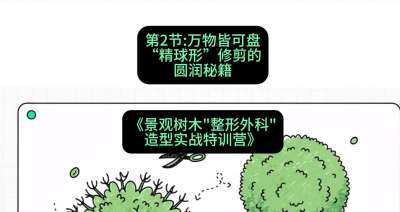 第02节：万物皆可盘&mdash;&mdash;&ldquo;精球形&rdquo;修剪的圆润秘籍，课程：《景观树木&ldquo;整形外科&rdquo;造型实战特训营》#识农AI