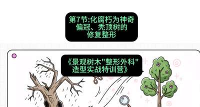 第07节：化腐朽为神奇&mdash;&mdash;偏冠、秃顶树的修复整形，课程：《景观树木&ldquo;整形外科&rdquo;造型实战特训营》#识农AI