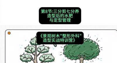 第08节：三分剪七分养&mdash;&mdash;造型后的水肥与定型管理，课程：《景观树木&ldquo;整形外科&rdquo;造型实战特训营》#识农AI